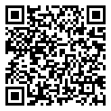 QRCode Eheringe in Sapelli Mokume Gane QRCode Eheringe in Sapelli Mokume Gane