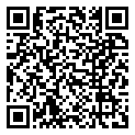 QRCode Damaststahl Ringe Holzmuster Weißgold Diamant