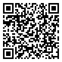 QRCode Kette in Edelstein Grüner Fluorit