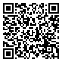 QRCode Mokume Gane Creolen Ohrringe Iroko