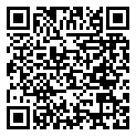 QRCode Diogo Ring carved Mokume Gane