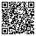 QRCode Edelstein Kette Amethyst QRCode Edelstein Kette Amethyst