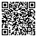 QRCode Mokume Gane Stud Earrings Kokoro QRCode Mokume Gane Stud Earrings Kokoro
