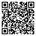 QRCode Wedding rings Ramon Mokume Gane