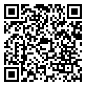 QRCode Labradorit Karneol Peridot Edelstein Kette QRCode Labradorit Karneol Peridot Edelstein Kette