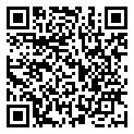 QRCode Verlobungsring Hanzu in Jaboty Mokume Gane QRCode Verlobungsring Hanzu in Jaboty Mokume Gane