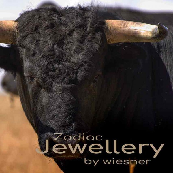 penisring stier Stier Cock Ring-Doppelte Durchdringung Hahn und Ball Ring main image 0