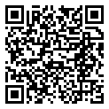 QRCode Mansonia Mokume Gane Trauringe QRCode Mansonia Mokume Gane Trauringe