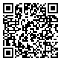 QRCode Edelstein Kette Opal Karneol Peridot QRCode Edelstein Kette Opal Karneol Peridot