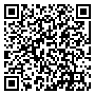 QRCode Moderner Siegelring für Damen – Weißgold mit Symbolgravur