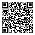 QRCode Kette aus Mondstein Achat Peridot Edelsteinen