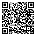 QRCode Trauring Sternenhimmel Edelstahl mit Diamanten