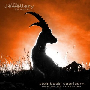 Sternzeichen Anhänger Steinbock in Platin mit kleinen Brillanten