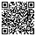 QRCode Sternzeichen Anhänger Zwillinge | Diamanten