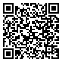 QRCode Trauringe Edelstahl matt Solitaire Diamant