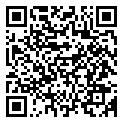 QRCode Engagement ring Hanzu in Jaboty Mokume Gane QRCode Engagement ring Hanzu in Jaboty Mokume Gane