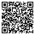 QRCode Edelstein Kette irisierender Labradorit