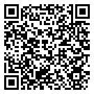 QRCode Trauringe Edelstahl mit Silber und Diamant 6 4/2