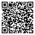 QRCode Diogo Ring in carved Mokume Gane QRCode Diogo Ring in carved Mokume Gane