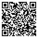 QRCode Armband Aventurin Bergkristall 10-11mm