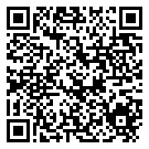 QRCode Kette Beryll Aquamarin Rosenquarz Kyanit Edelsteine