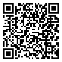 QRCode Necklace Mokume Gane Shakudo Copper Silver