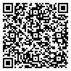 QRCode Seraya – Zweifarbige Mokume Gane Ringe mit feinem Sternmuster aus Platin und Gelbgold